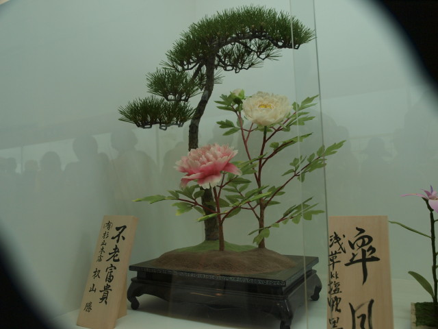 img0031.jpg