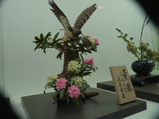 img0032.jpg