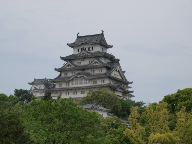 img0048.jpg