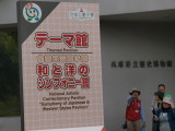 img0002.jpg