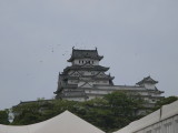 img0011.jpg