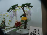 img0030.jpg