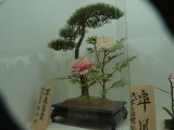 img0031.jpg
