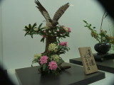 img0032.jpg