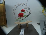 img0034.jpg