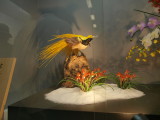 img0038.jpg