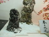 img0040.jpg