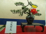 img0043.jpg