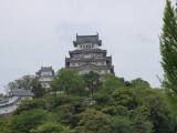 img0051.jpg