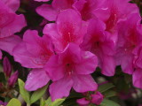 img0054.jpg