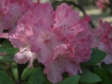 img0007.jpg