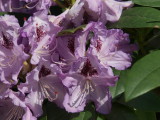 img0012.jpg