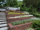 img0016.jpg