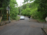img0009.jpg