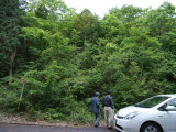 img0019.jpg