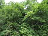 img0021.jpg