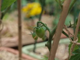 img0040.jpg