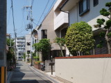 img0005.jpg