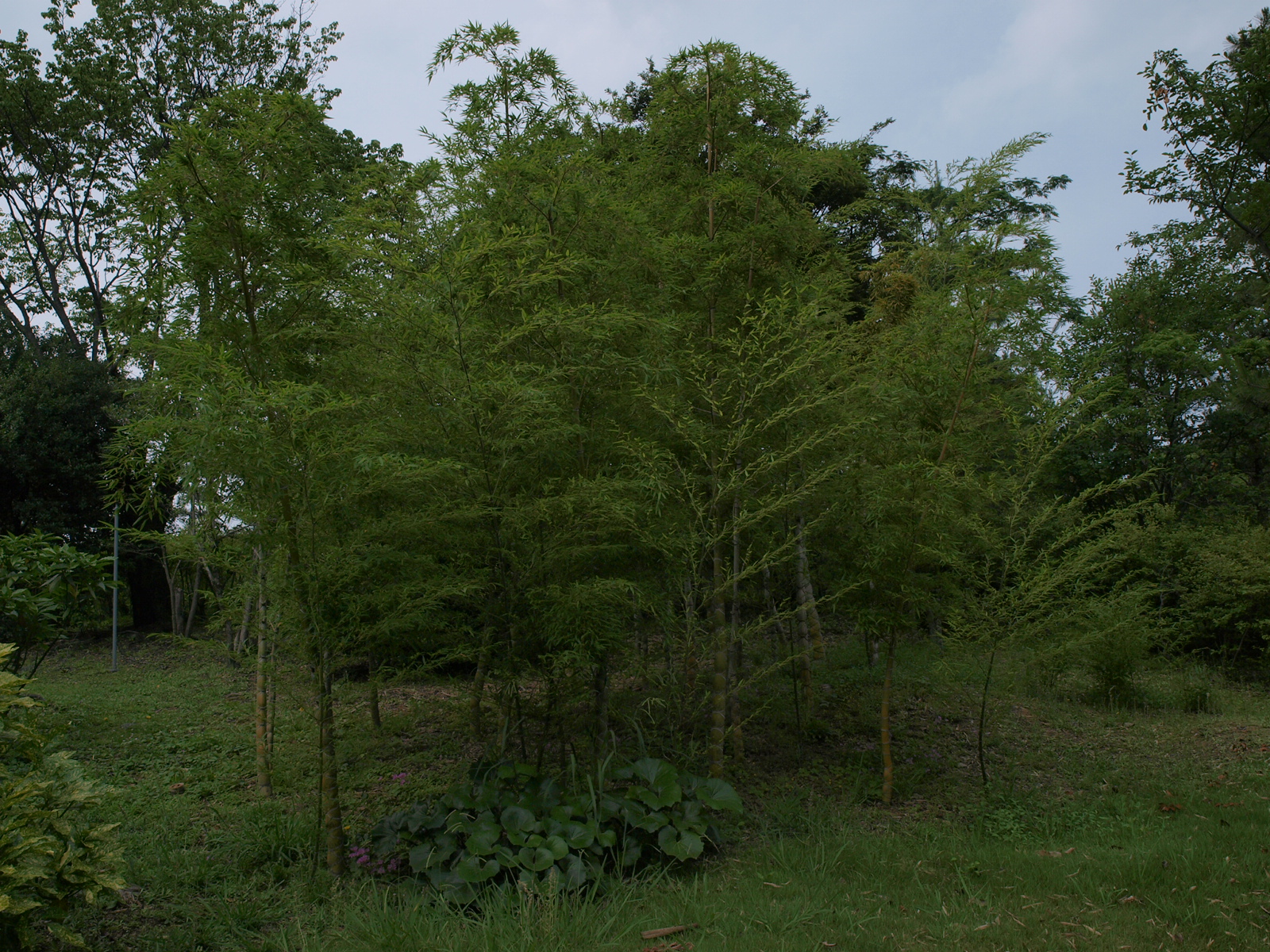 P6080668.JPG