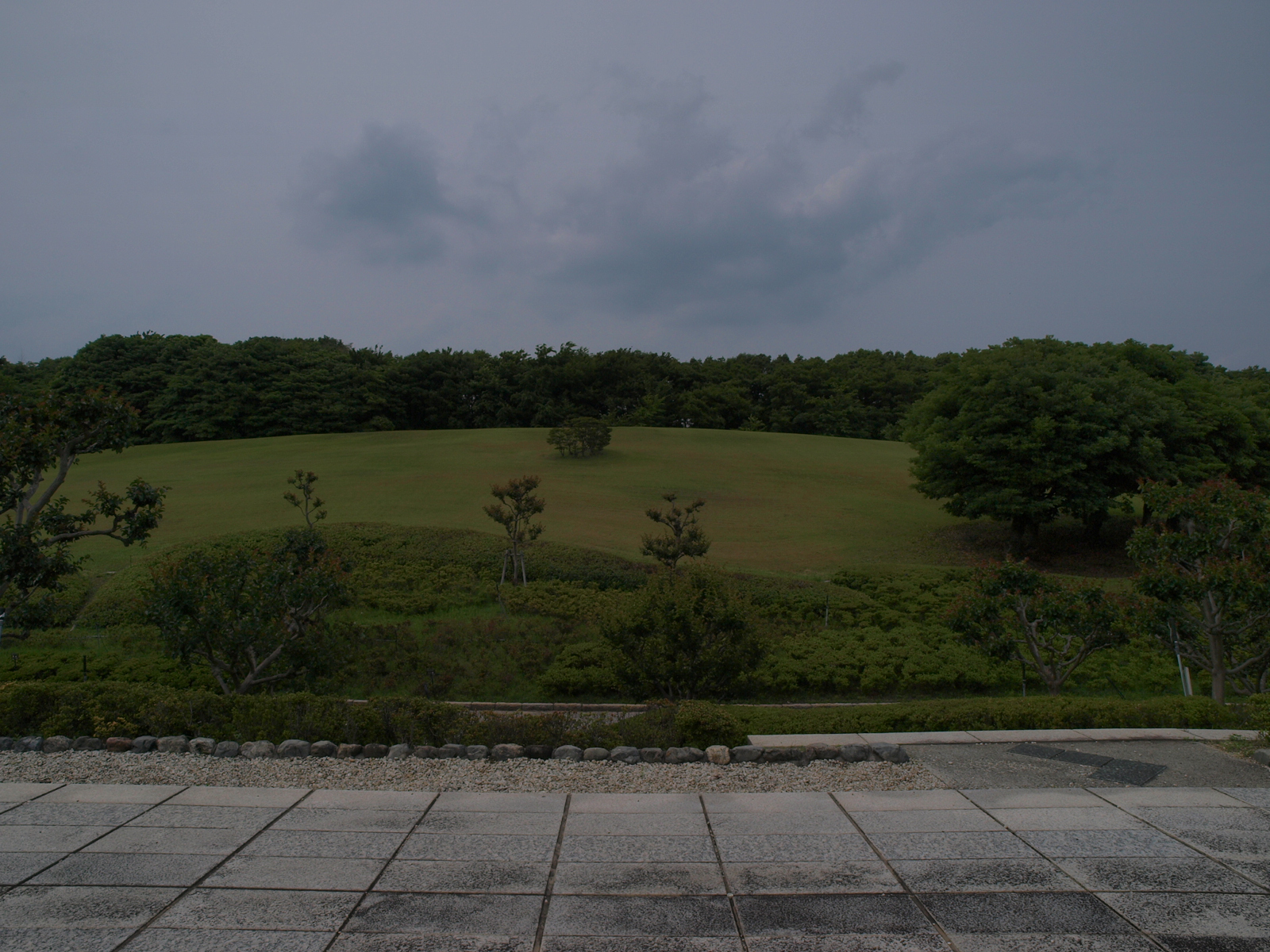 P6080679.JPG