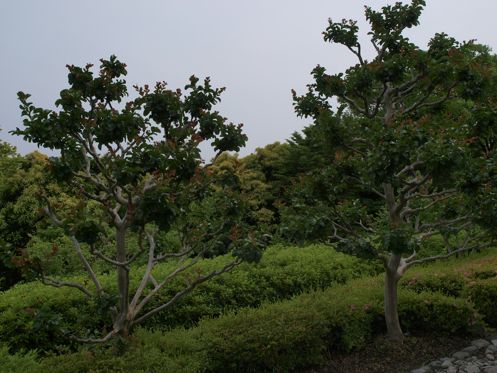 P6080680.JPG