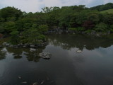 img0009.jpg