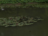 img0024.jpg
