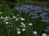 img0030.jpg