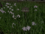 img0032.jpg