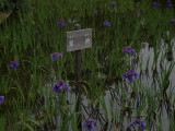 img0042.jpg