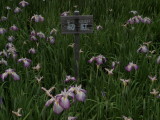 img0044.jpg