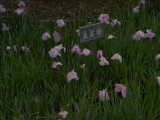 img0048.jpg