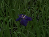img0062.jpg