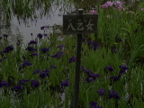 img0069.jpg