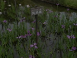 img0073.jpg