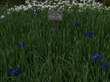 img0078.jpg