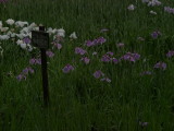 img0083.jpg