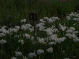img0084.jpg