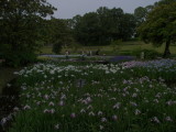img0087.jpg