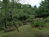 img0012.jpg