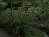 img0013.jpg