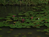img0015.jpg