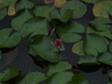 img0016.jpg