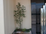 img0000.jpg