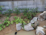 img0002.jpg