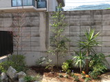 img0003.jpg