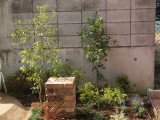 img0004.jpg