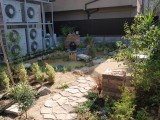 img0006.jpg