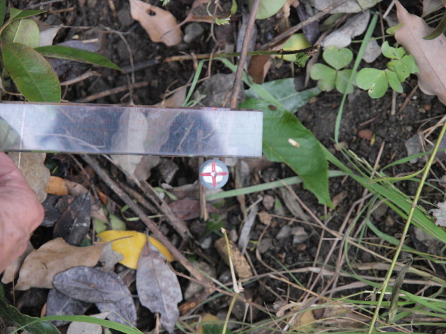 img0018.jpg