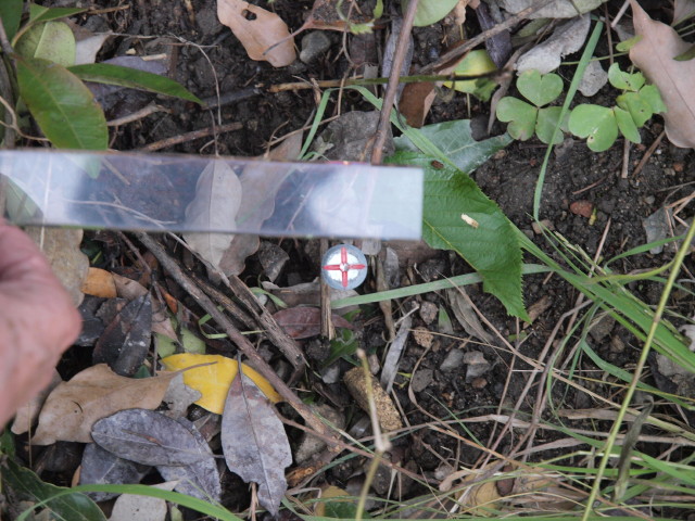 img0019.jpg